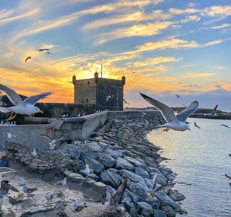 agence web création site internet Essaouira Maroc tourisme